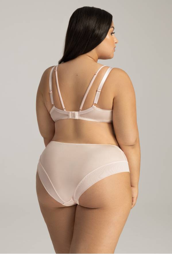 Figi AV 2164 Powdery