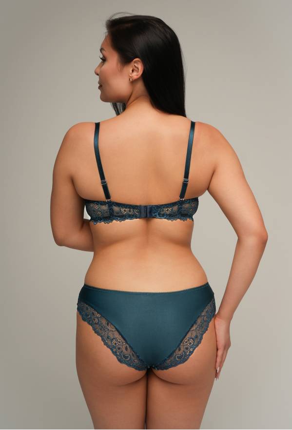 AV 2201 Petrol Briefs