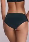AV 1030 Petrol Briefs